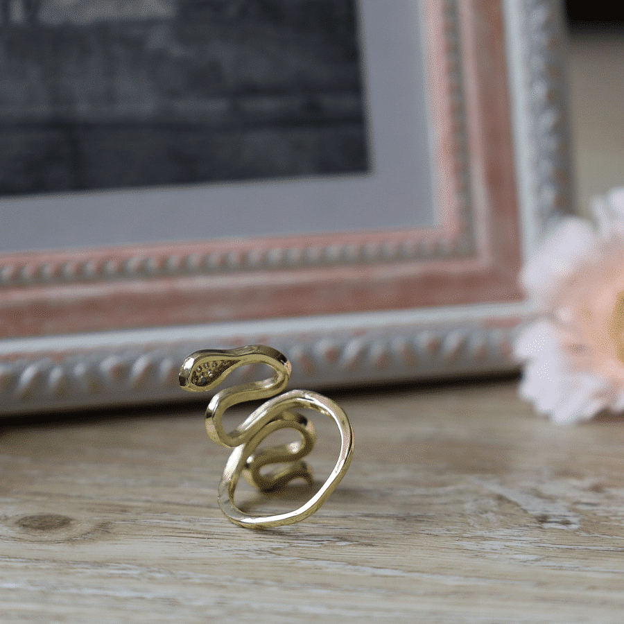 Anillo Brillante Ajustable Para Amor Eterno, Suerte, Hombres Y Mujeres Anillo De Serpiente